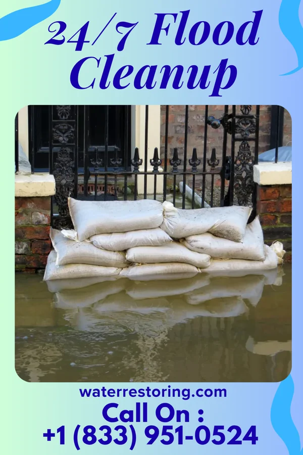24/7 Flood Cleanup in Ewing, IL