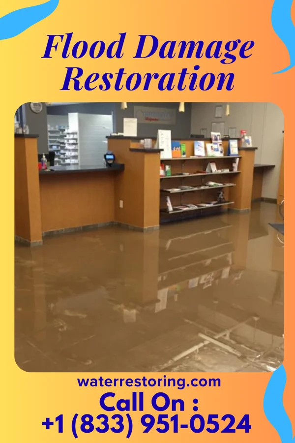 Flood Damage Restoration in Ewing, IL